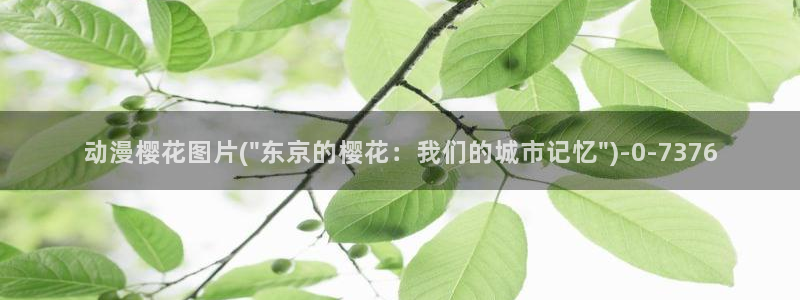 无节操樱花动漫