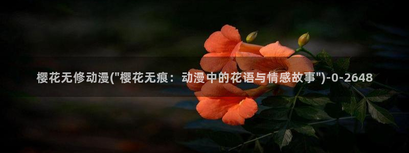 游戏王樱花动漫
