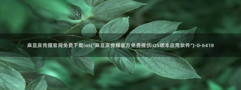 麻豆视频推荐