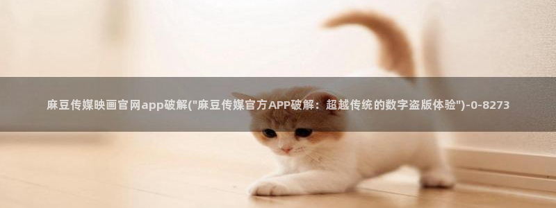 麻豆SEO模板