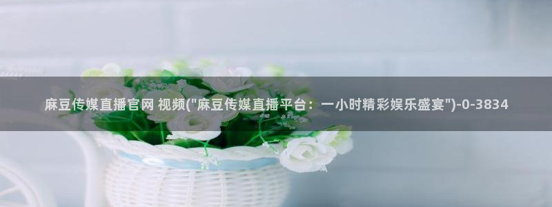 麻豆自定义库