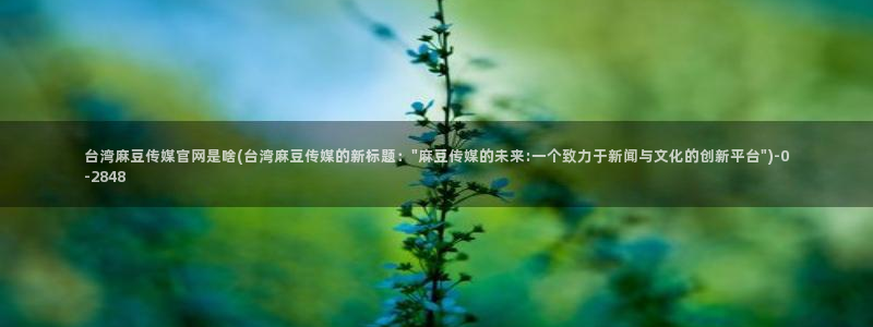 麻豆视频相关推荐
