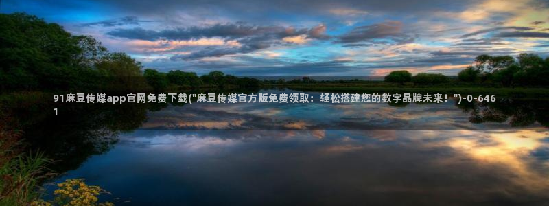 麻豆视频点评