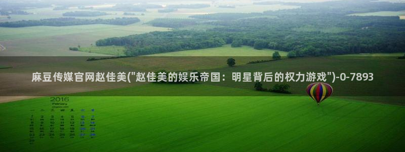 麻豆视频入口