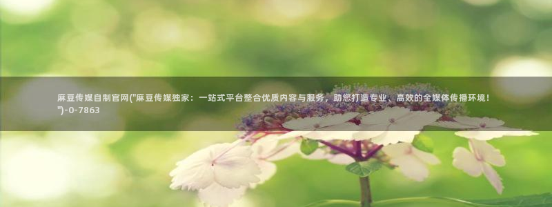 麻豆视频在线观看