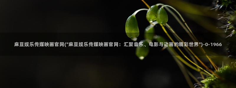 麻豆视频用户体验