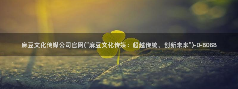 麻豆视频目录