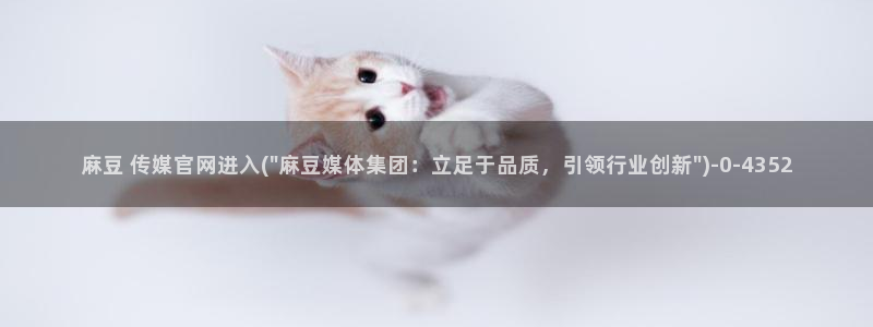 麻豆视频栏目规划