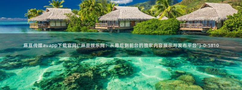 麻豆视频关于我们