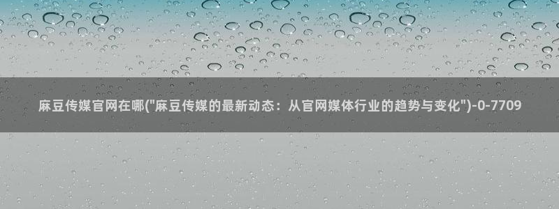 麻豆传媒新片