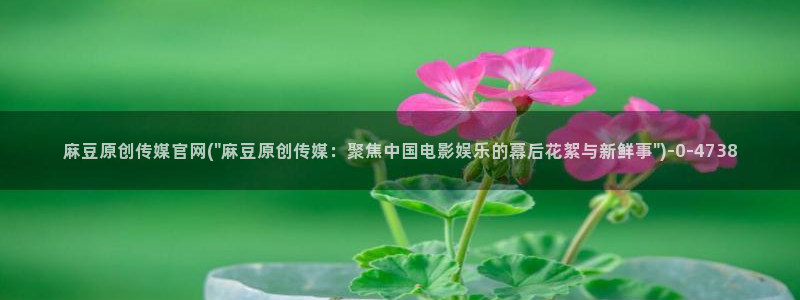麻豆内容优化