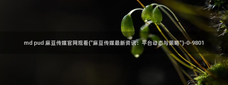 麻豆传媒剧情