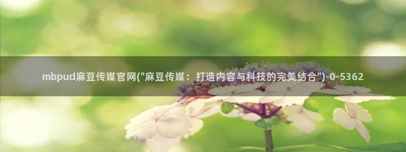 麻豆视频合作联系