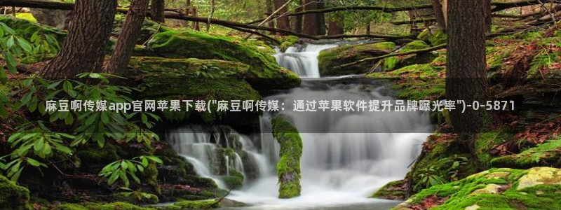 麻豆传媒在线观看