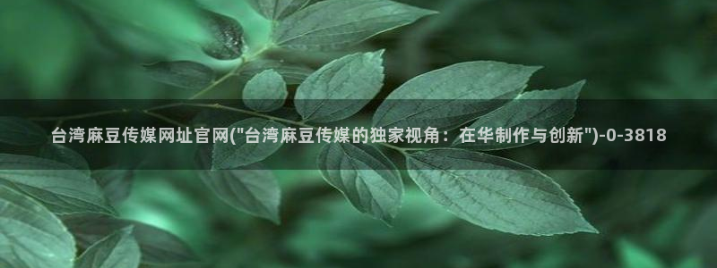 麻豆反转剧情