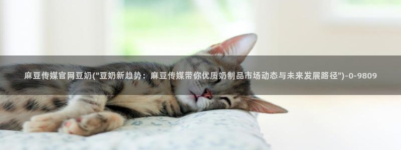 麻豆视频分类