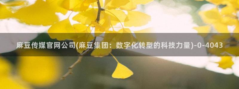 麻豆视频库