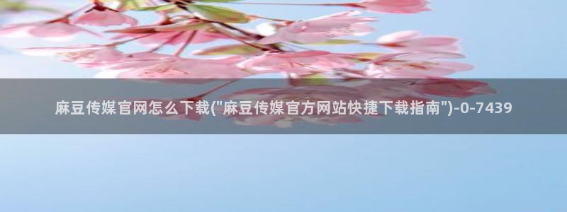 麻豆资源导航