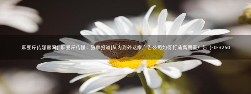麻豆热门专题