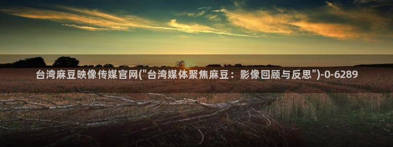 麻豆榜单标题：台湾麻豆映像传媒官网(\