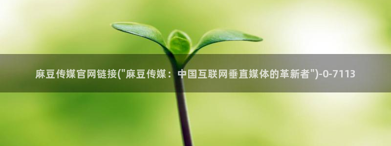 麻豆传媒视频：麻豆传媒官网链接(\