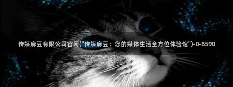 麻豆视频内容聚合：传媒麻豆有限公司官网(\