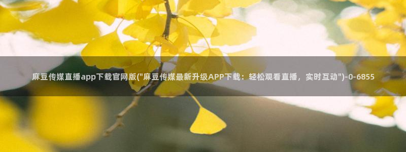 麻豆视频相关搜索