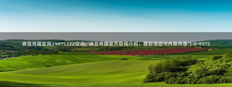 麻豆SEO关键词