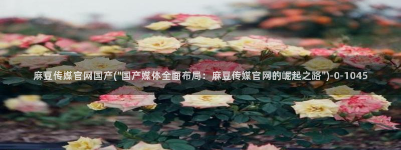 麻豆短片