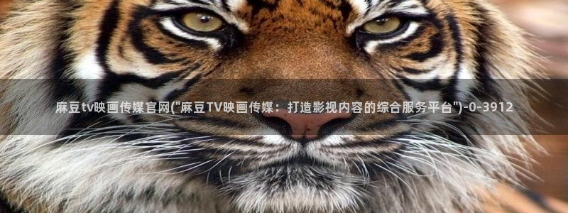 麻豆视频高流量词