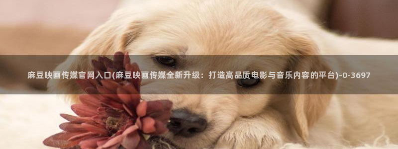 麻豆视频关键词