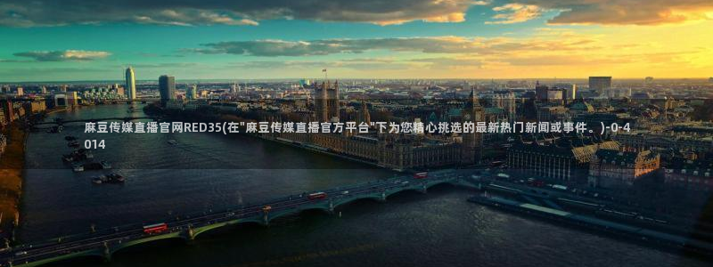 麻豆传媒在线观看