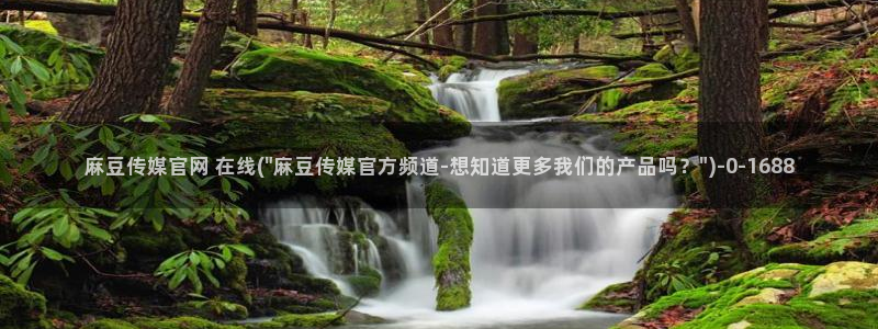 麻豆视频排行文案